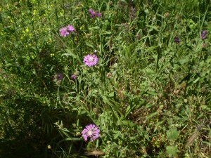 Christophe GIROD, le 27 décembre 2007 (Porto-Vecchio (STEP))