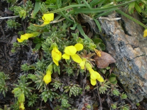 Christophe GIROD, le 28 mars 2008 (Col d'Etache)