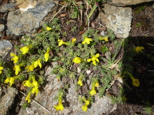 Christophe GIROD, le 28 mars 2008 (Col d'Etache)