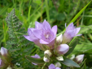 Christophe GIROD, le 25 mars 2008 (Les Evettes)