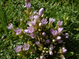 Christophe GIROD, le 25 mars 2008 (Les Evettes)
