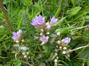 Christophe GIROD, le 25 mars 2008 (Les Evettes)