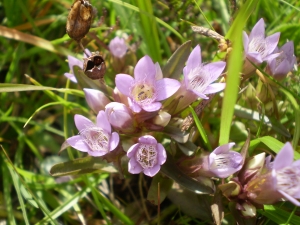 Christophe GIROD, le 25 mars 2008 (Les Evettes)
