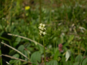 Christophe GIROD, le 24 mars 2008 (Combe de Cléry)