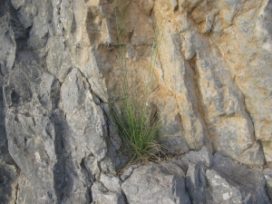 Christophe GIROD, le  7 mai 2005 (Massif de la Clape)