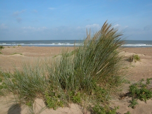 Claude FIGUREAU, le 11 septembre 2004 (Blankenberge)