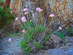 Claude FIGUREAU, le 29 mai 2012 (Espagne Cap de Creuz)