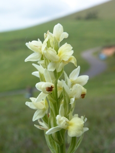 Claude FIGUREAU, le 22 mai 2004 (Aude D129 Bouisse Villarbelle)