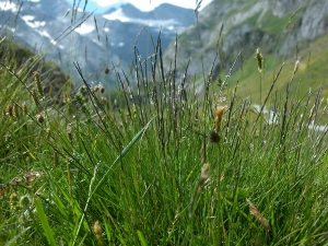 Claude FIGUREAU, le 28 juin 2006 (Cabane de Milhas Gavarnie)