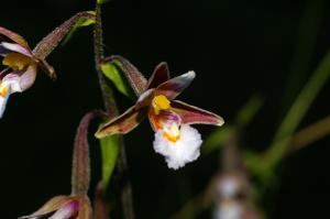 Thierry Roy, le 18 août 2012 (Montgirod (Sagellan))