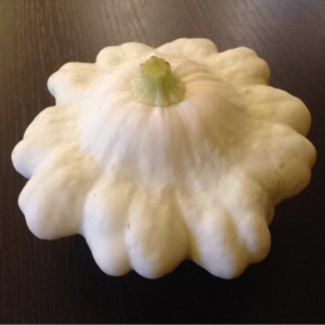  - Cucurbita pepo subsp. ovifera (L.) D.S.Decker [1988]