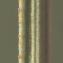  Liliane Roubaudi - Carex divisa Huds. [1762]