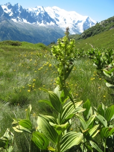 Dominique Remaud, le  1 août 2012 (Les Houches)