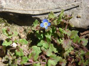 Paul Fabre, le 13 avril 2013 (Montpellier (Aigua))