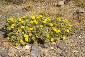 Liliane Roubaudi, le 12 avril 2009 (Lanzarote-îles Canaries)