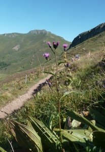 Ans Gorter, le 22 août 2013 (15 Le Lioran)