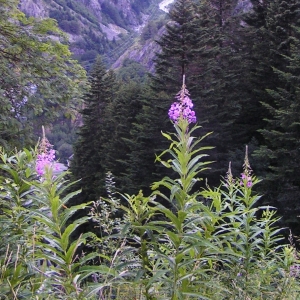 Alain Bigou, le 29 juillet 2007 (Loudenvielle (Gorges de Clarabide))