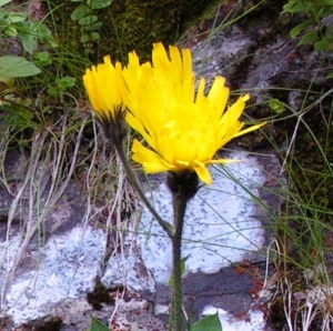 Alain Bigou, le 29 juillet 2007 (Loudenvielle (Gorges de Clarabide))