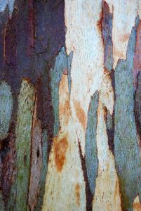 Muriel MARTINET, le 21 juillet 2011 (Nice)