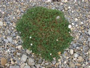 Paul Fabre, le 26 août 2013