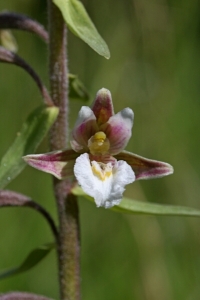Anonyme, le 20 février 2014 (Nantes)