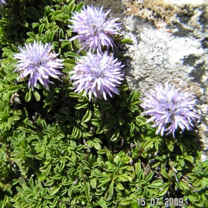 Alain Bigou, le 15 juillet 2009 (Barèges (Col d'Aoube))
