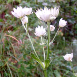 Alain Bigou, le 13 septembre 2009 (Naut Aran (Lac de Mar))