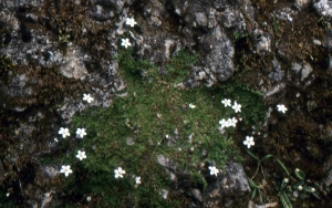 Liliane Roubaudi, le 22 avril 1998 (Sardaigne)