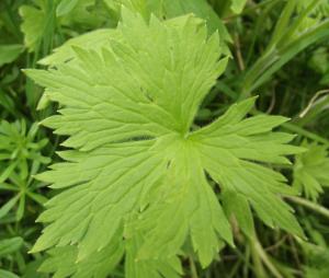 Jean-Claude Echardour, le  2 avril 2014 (Saffré)