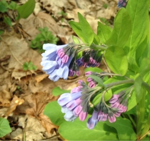 Anonyme, le 25 avril 2014