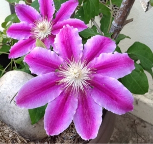 R MARQUAS, le  3 mai 2014