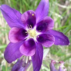 Anonyme, le 21 mai 2014 (Gap)