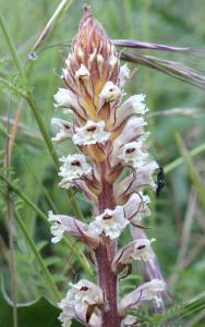 Marie  Portas, le 17 mai 2014 (Le Bar-sur-Loup)
