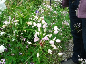 Anonyme, le 29 mai 2014 (Plouay)