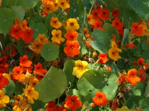 Liliane Roubaudi, le  1 mai 2014 (Crète)