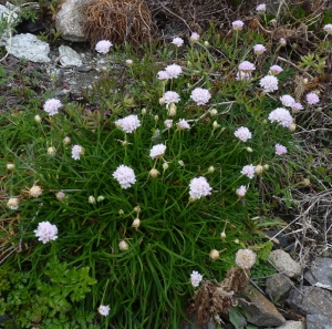 Ans Gorter, le 25 avril 2012 (Rosas, Espagne)