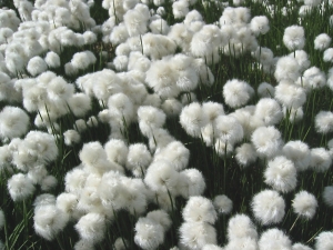 Madeleine Sarran, le 16 août 2004 (Névache)