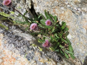 Marie-France Petibon, le  7 septembre 2014 (Arrens-Marsous (lac de Migouélou))