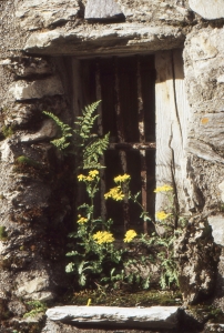 Liliane Roubaudi, le  8 juillet 1998 (Val-d'Isère)