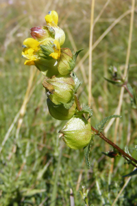 Jean-Claude Calais, le 11 août 2011 (Marchastel)
