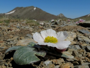 Alain Poirel, le  5 juillet 2013 (EYNE (Col de Nuria))