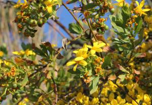 Marie  Portas, le  5 avril 2015 (Menton)