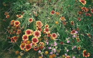 Thierry Christophe SCHLIENGER, le  8 juin 2010 (Gueberschwihr)