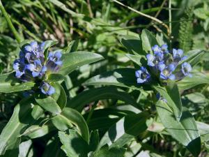 Jean-Claude Ernewein, le 10 juillet 2007 (Réallon, France)