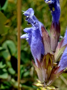 Yoan Martin, le  6 juillet 2015 (Villar-d'Arêne)