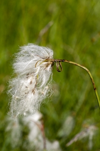 Jean-Jacques Houdré, le 15 juillet 2015 (La Valla-en-Gier)
