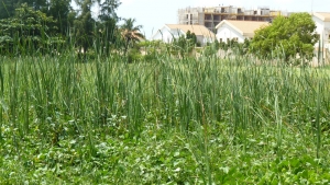 Pascal MARNOTTE, le  7 juillet 2014 (Cotonou)