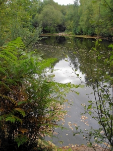 Anne Vincent , le 10 octobre 2009 (Plumelec (Etang du miroir aux fées))