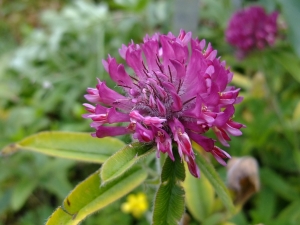 Yoan Martin, le 14 juillet 2014