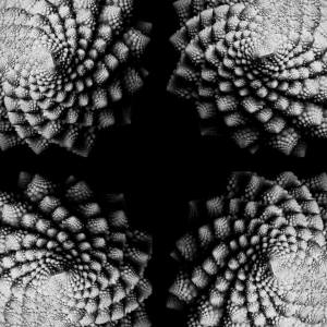 Brassica oleracea Romanesco [nn] par Joan TOSI le 14/01/2016 - 38690 Colombe, France